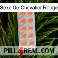 Red Knight Sex 26